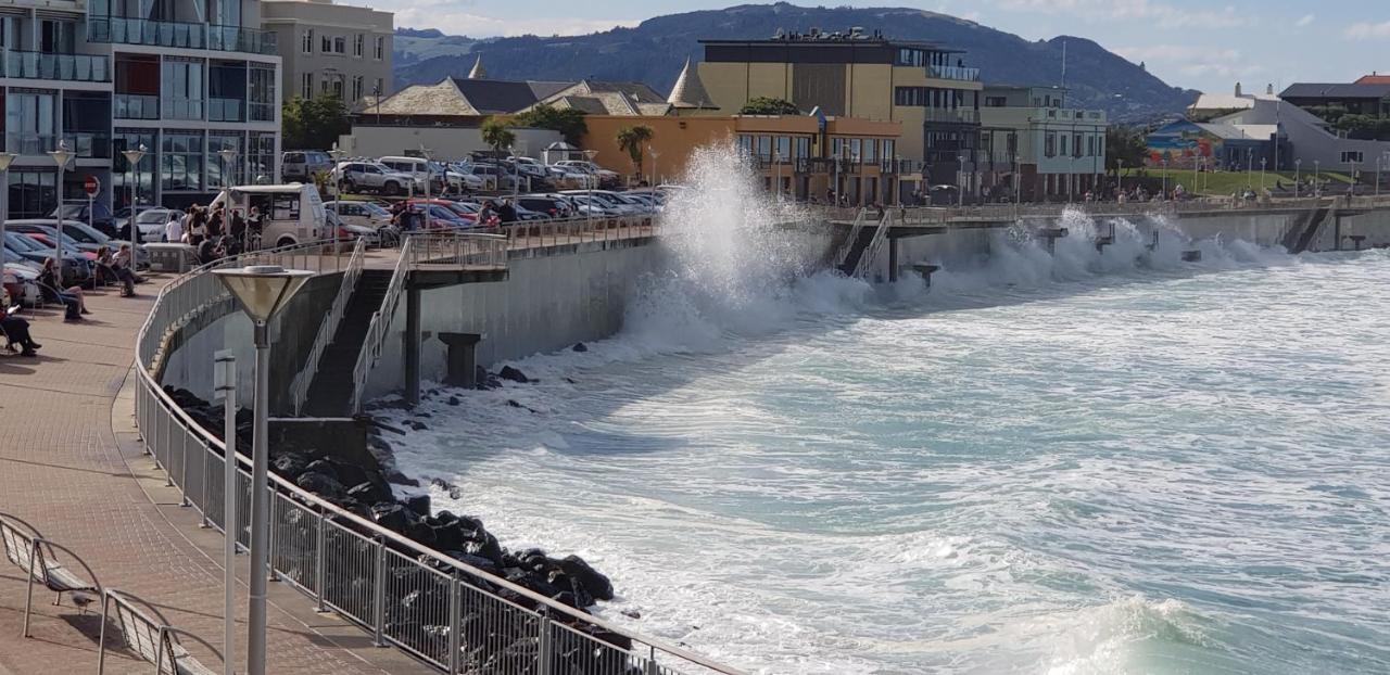 Rosemount B&B By The Sea St Clair Dunedin Dış mekan fotoğraf