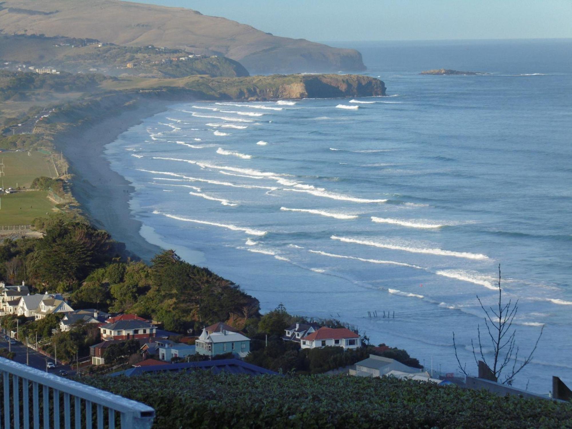 Rosemount B&B By The Sea St Clair Dunedin Dış mekan fotoğraf
