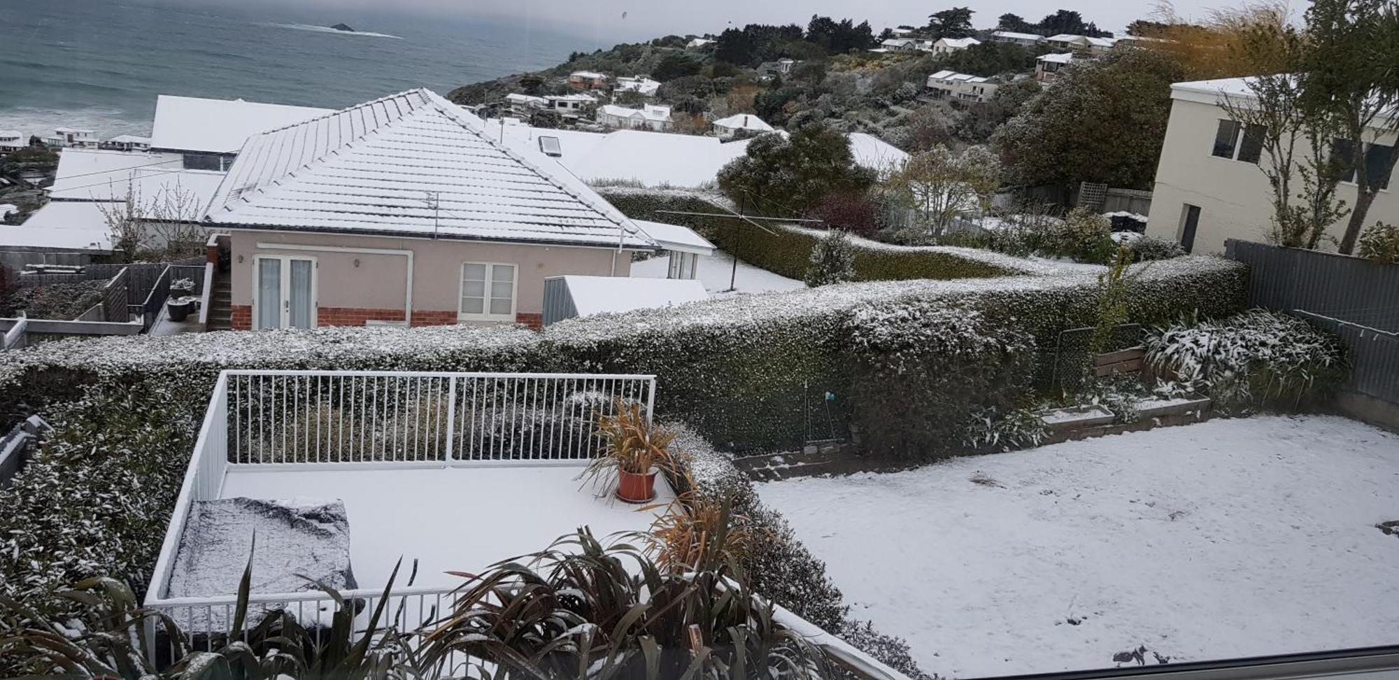 Rosemount B&B By The Sea St Clair Dunedin Dış mekan fotoğraf