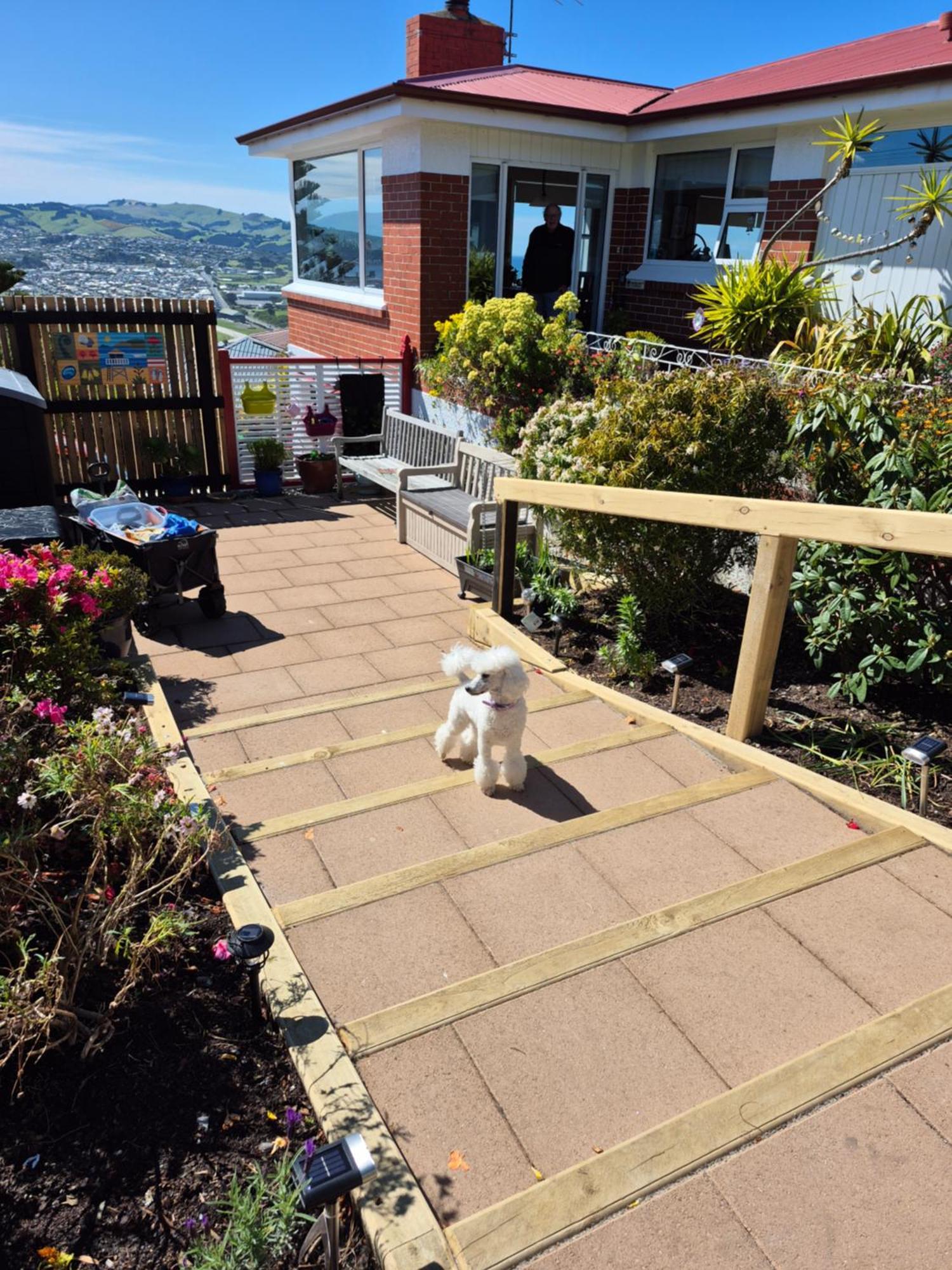Rosemount B&B By The Sea St Clair Dunedin Dış mekan fotoğraf