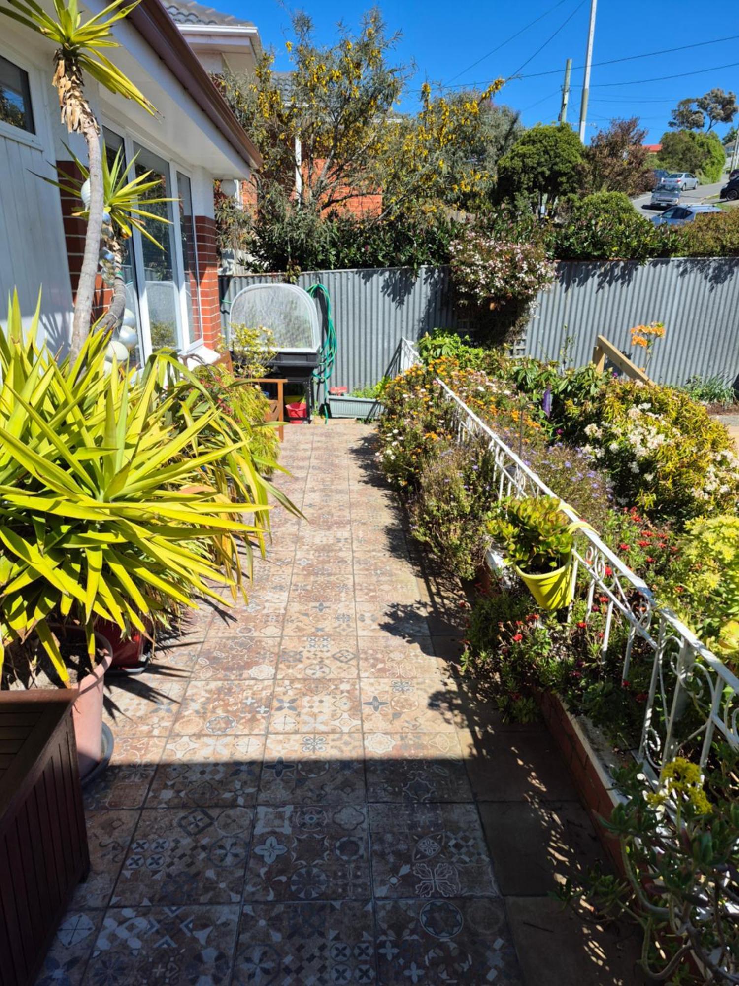 Rosemount B&B By The Sea St Clair Dunedin Dış mekan fotoğraf