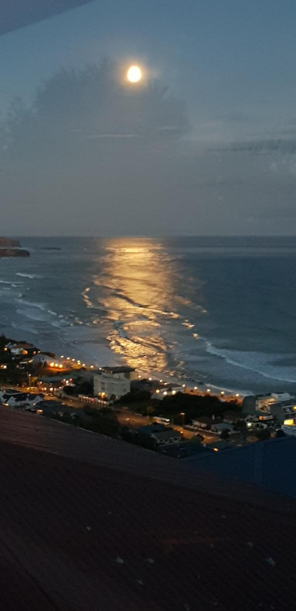 Rosemount B&B By The Sea St Clair Dunedin Dış mekan fotoğraf