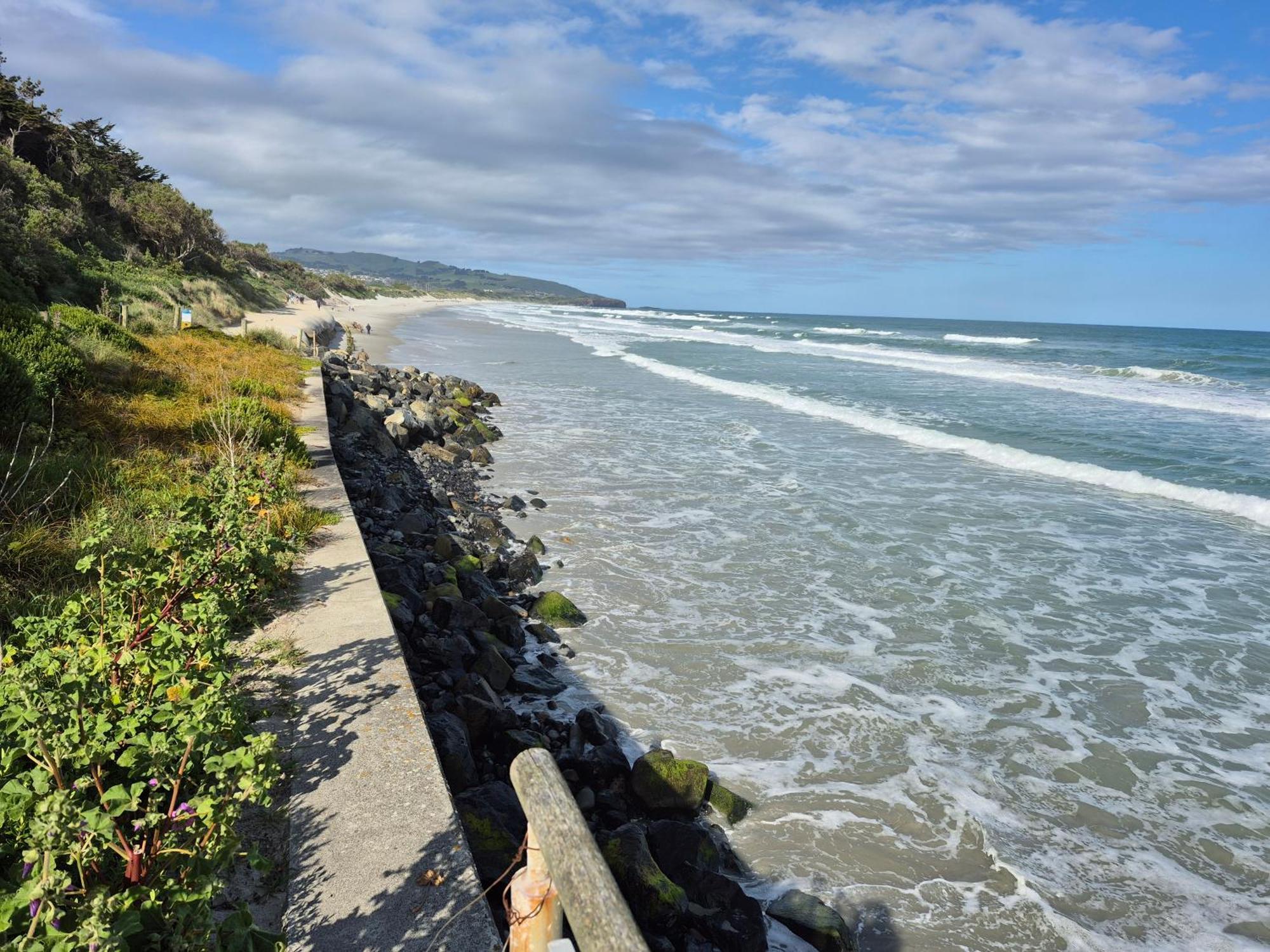 Rosemount B&B By The Sea St Clair Dunedin Dış mekan fotoğraf