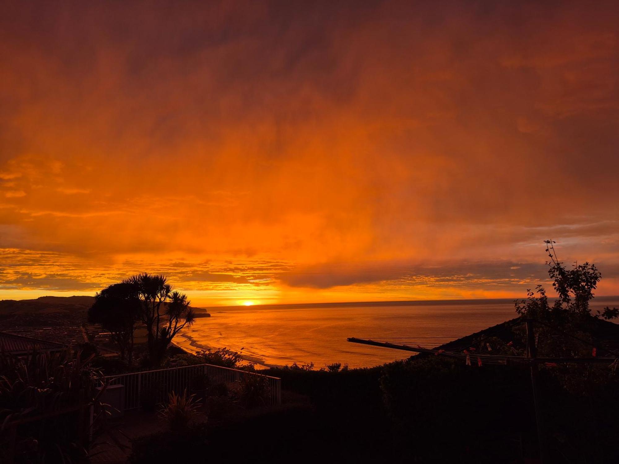 Rosemount B&B By The Sea St Clair Dunedin Dış mekan fotoğraf