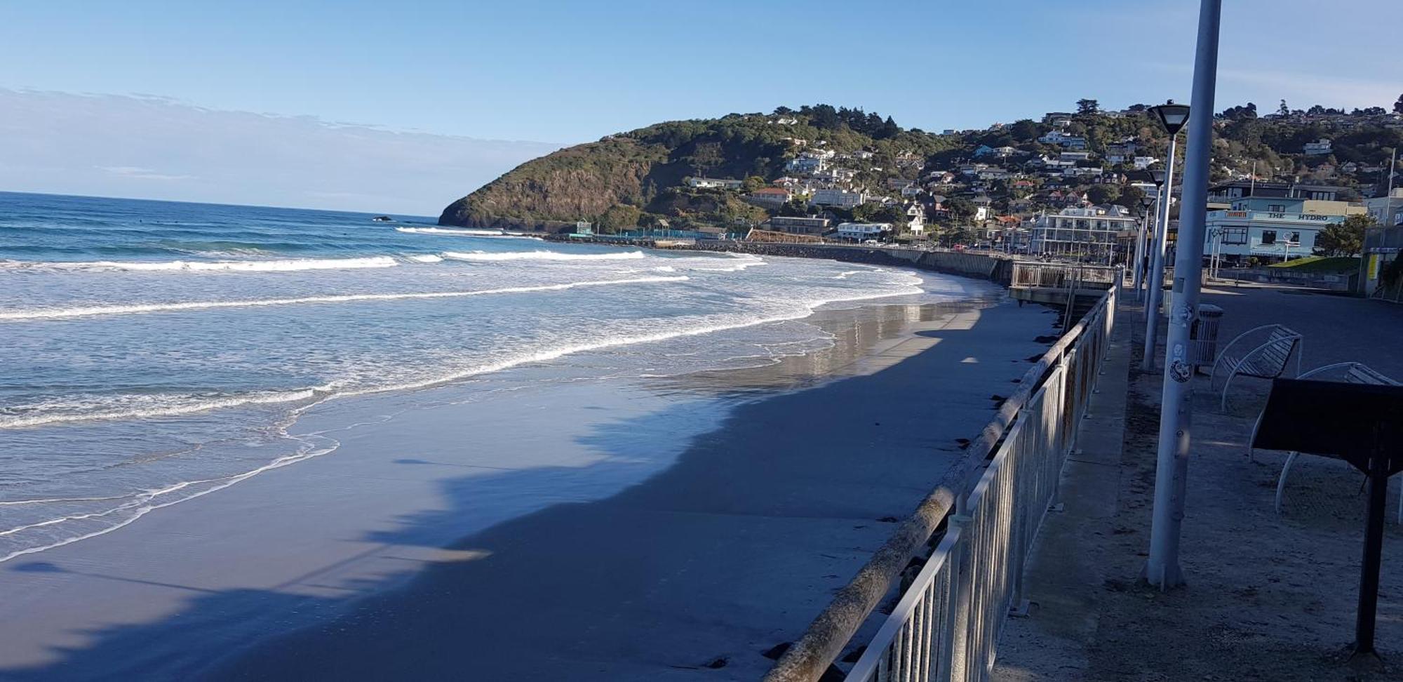 Rosemount B&B By The Sea St Clair Dunedin Dış mekan fotoğraf