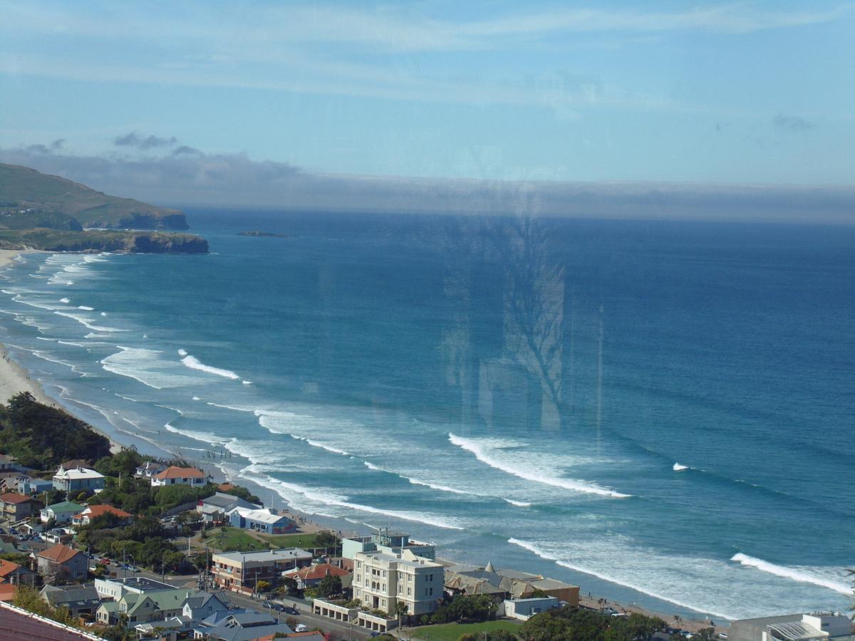 Rosemount B&B By The Sea St Clair Dunedin Dış mekan fotoğraf